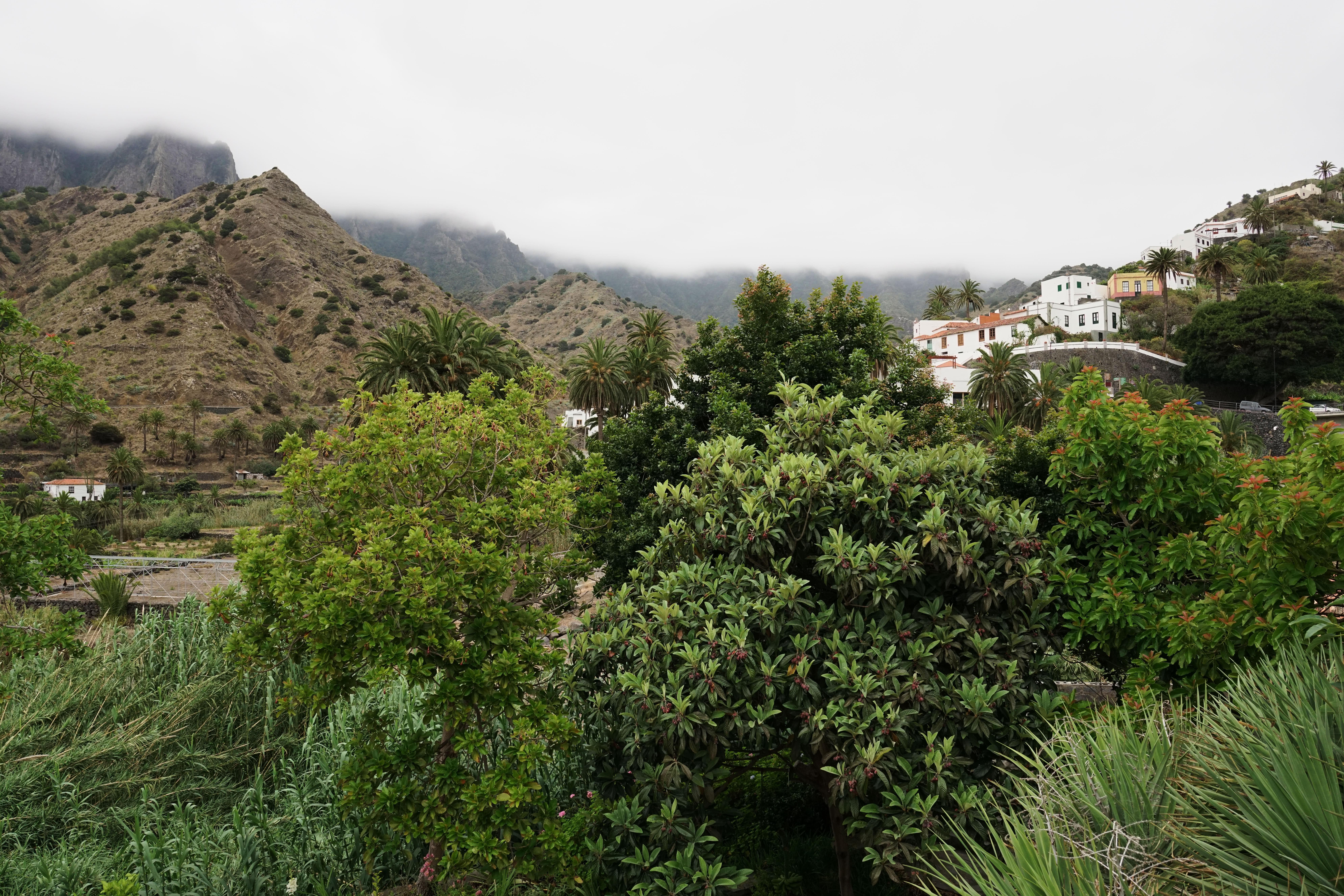 Finca Pinero Эрмигва Экстерьер фото